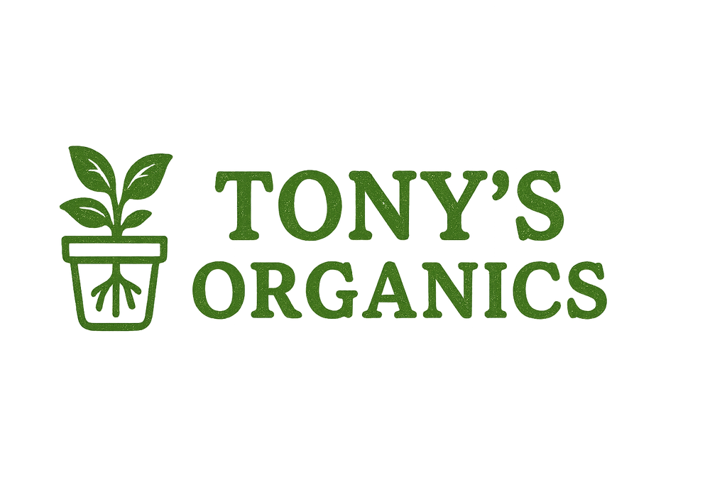 6 x Organic White Onion Plug Plants